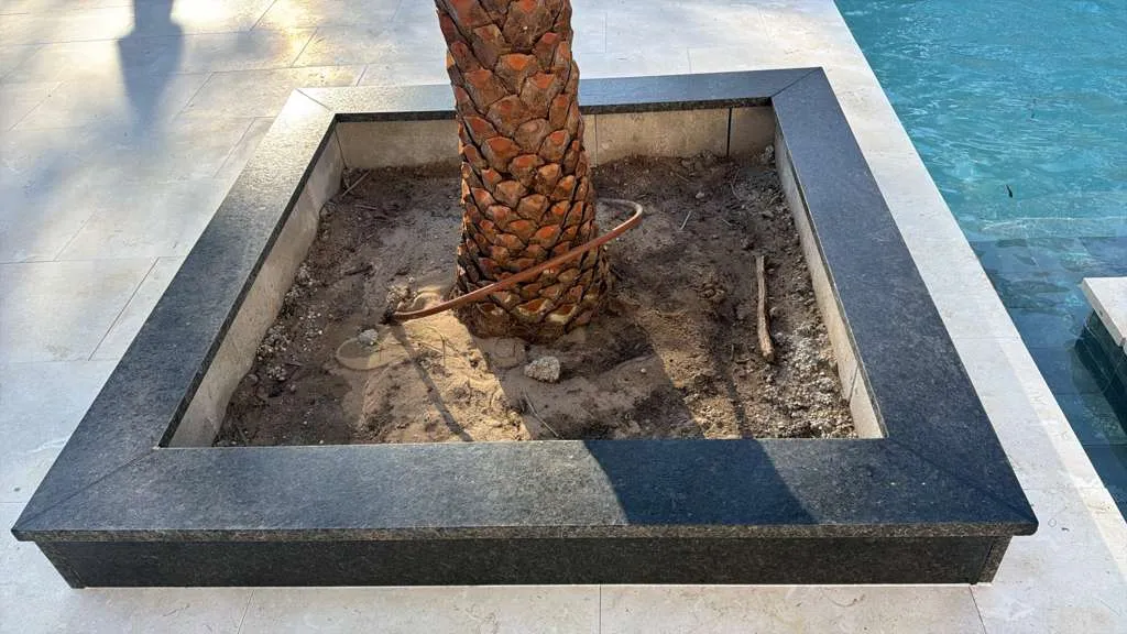 Granite planter cap and pool coping cut and set around a palm tree